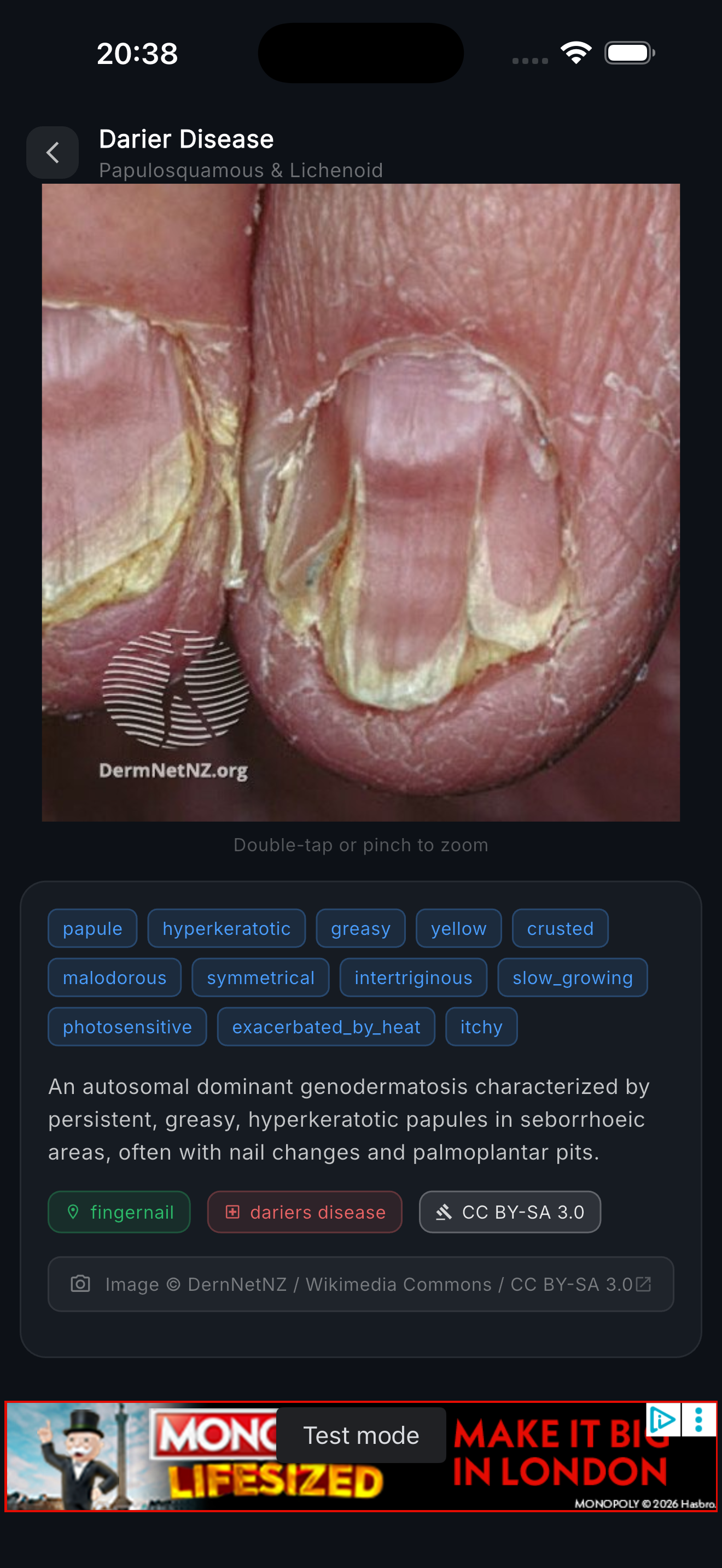 Atlas image viewer